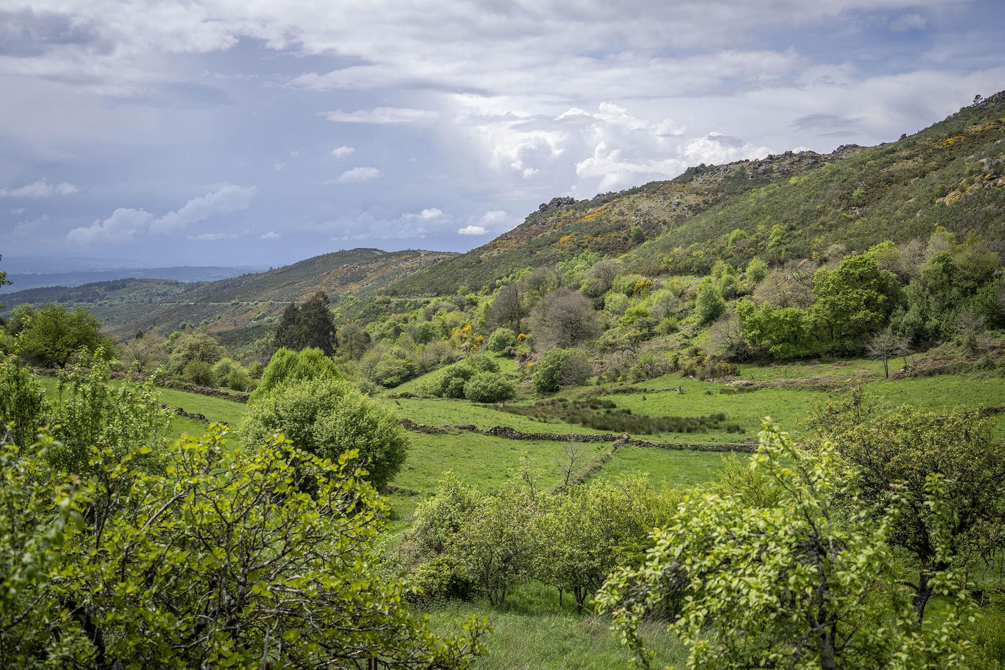 Altri Non Repor  - 10